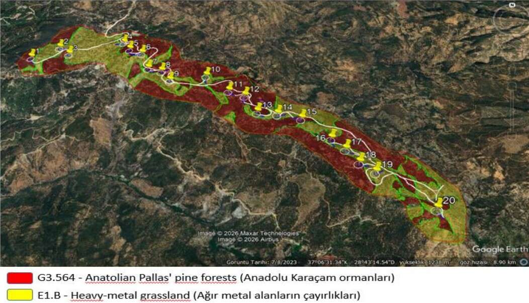 Muğla’da 781,2 Milyon TL’lik Gaia RES Projesi: 20 Türbin ve 84 MWm Kurulu Güç 6